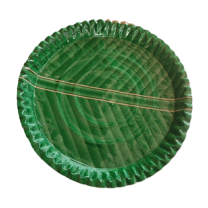 Disposable Plates - Green 10 pcs – 1 Pack